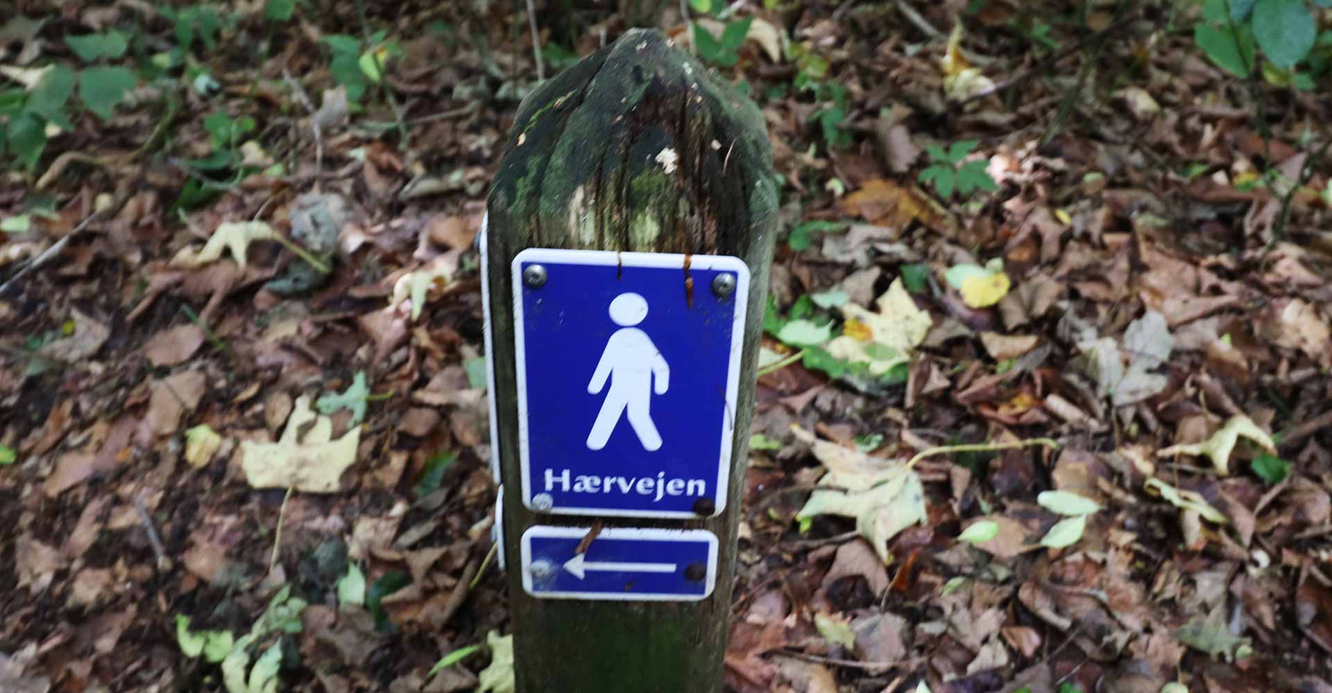 hærvejen